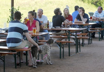 Wilmot and Elizabeth Bonnet and their dog Hattie hang out at Rodeo Goat in Dallas. Dogs are...