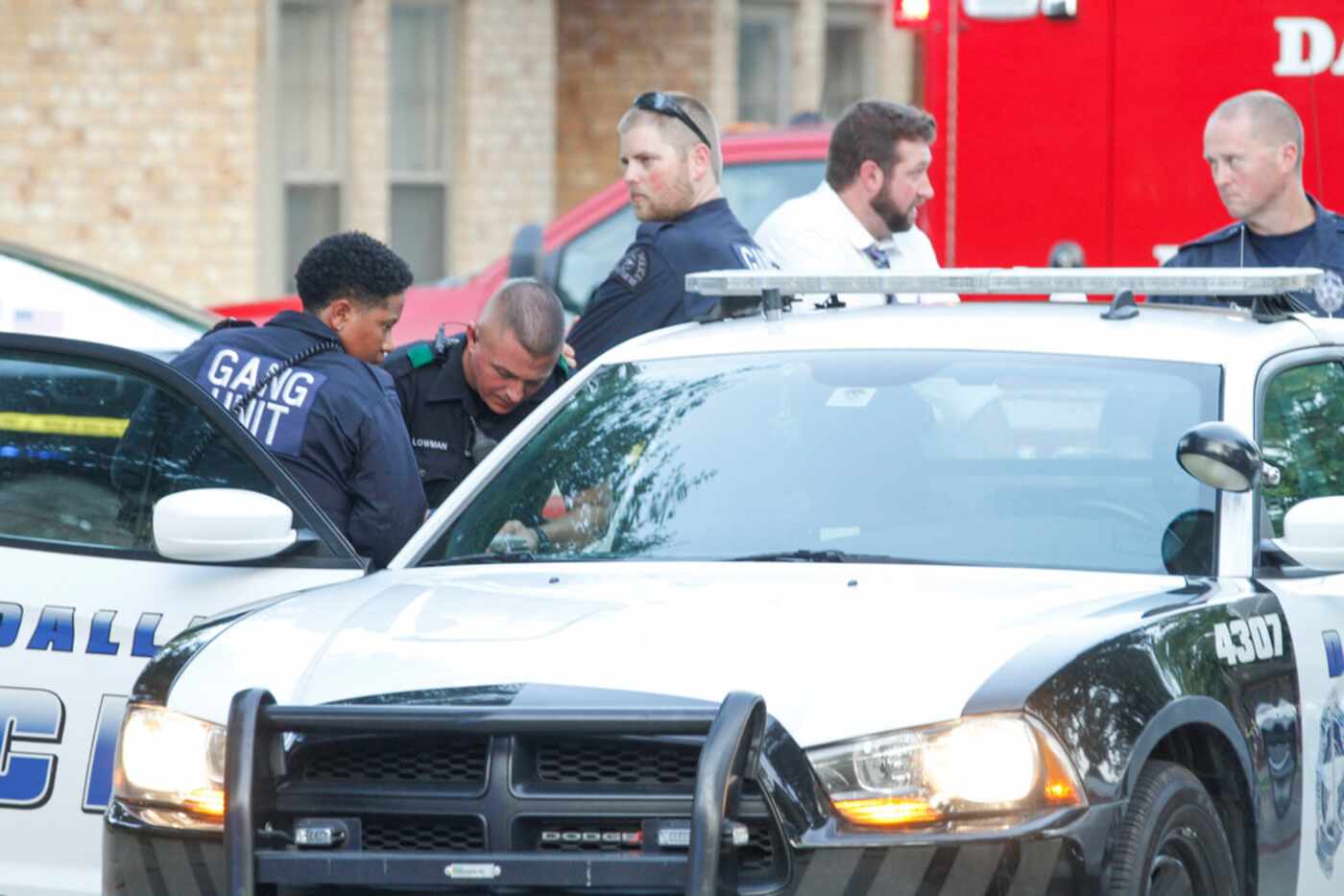 Members of Dallas Police Department gang unit spoke to a person in a squad car at the...