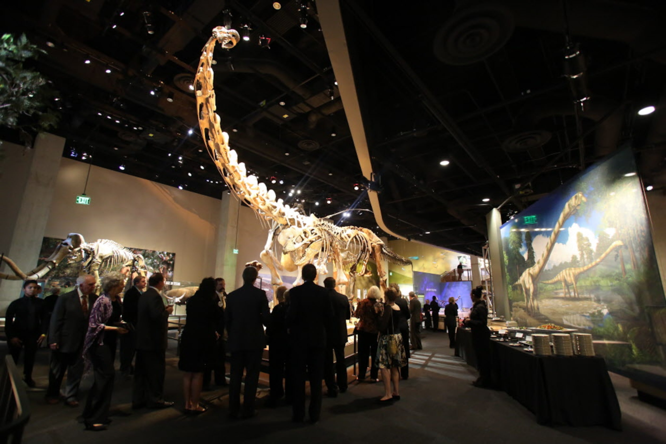 Guests look at the Tyrannosaurus skeleton during the "Night at the Museum 2012" opening...