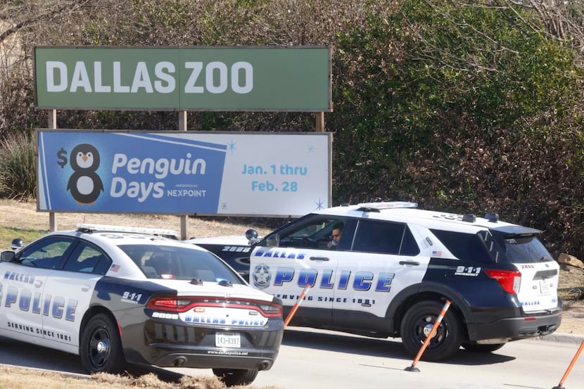 A pair of Dallas police vehicles sit at an entrance to the Dallas Zoo on Jan. 13 after a...