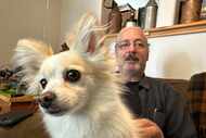 FILE - James Pelletier holds his dog, a papillon-Chihuahua mix named Lilly, at his Seattle...