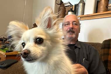 FILE - James Pelletier holds his dog, a papillon-Chihuahua mix named Lilly, at his Seattle...
