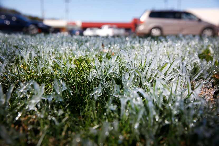 Ice covers grass from a sprinkler system along Abrams Road in East Dallas on Tuesday, March...