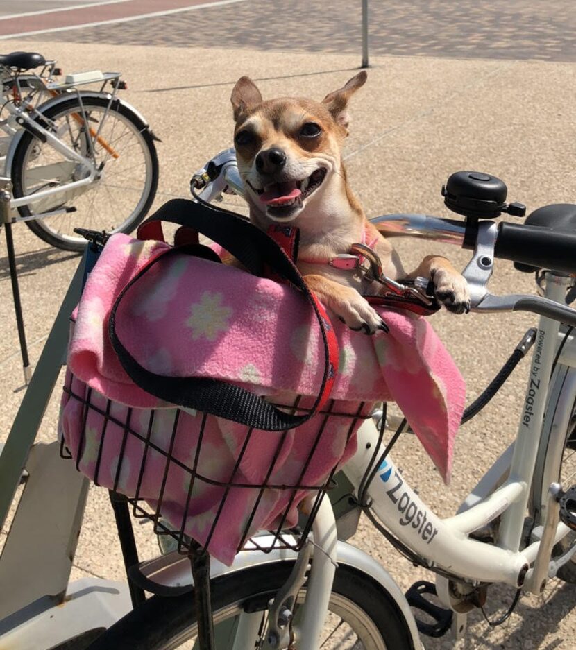 Lupita, living her best life