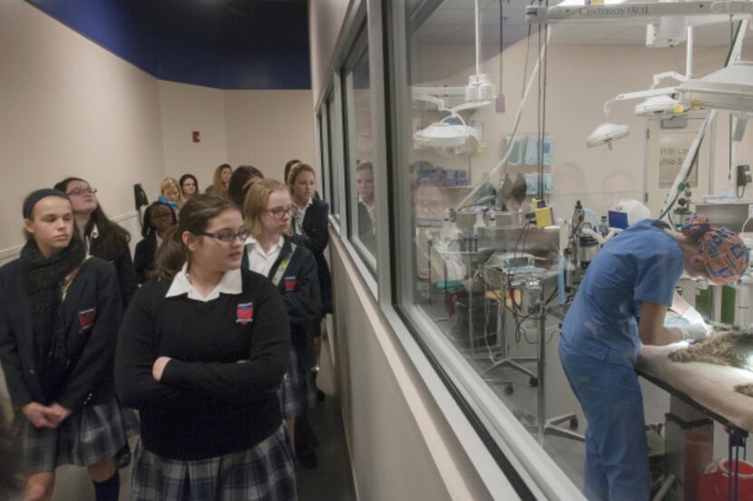 About 40 students in the rescue club recently toured the SPCA of Texas’ Jan Rees-Jones...