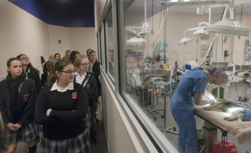 About 40 students in the rescue club recently toured the SPCA of Texas’ Jan Rees-Jones...