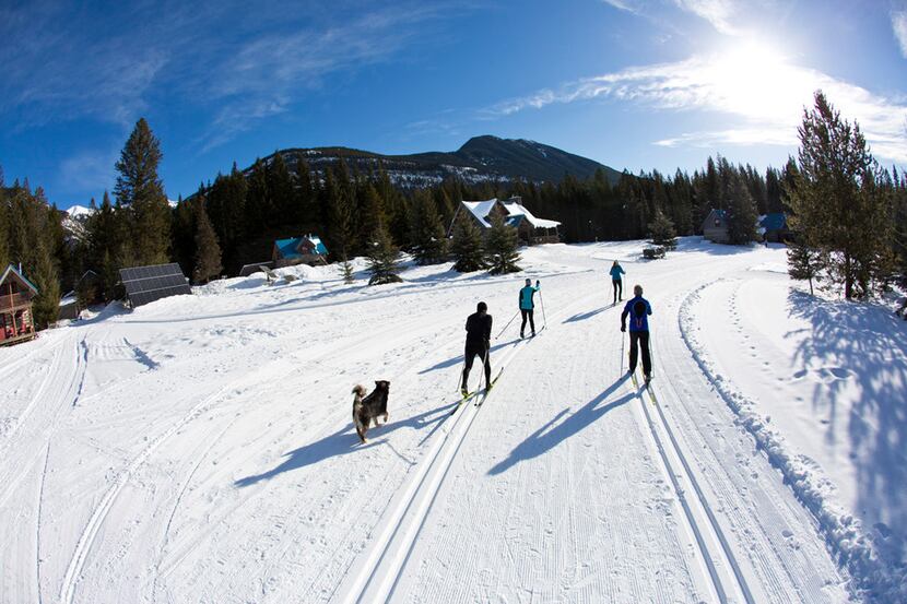 Solar panels line the Nordic ski track at Nipika Mountain Resort in Canada's Kootenay...