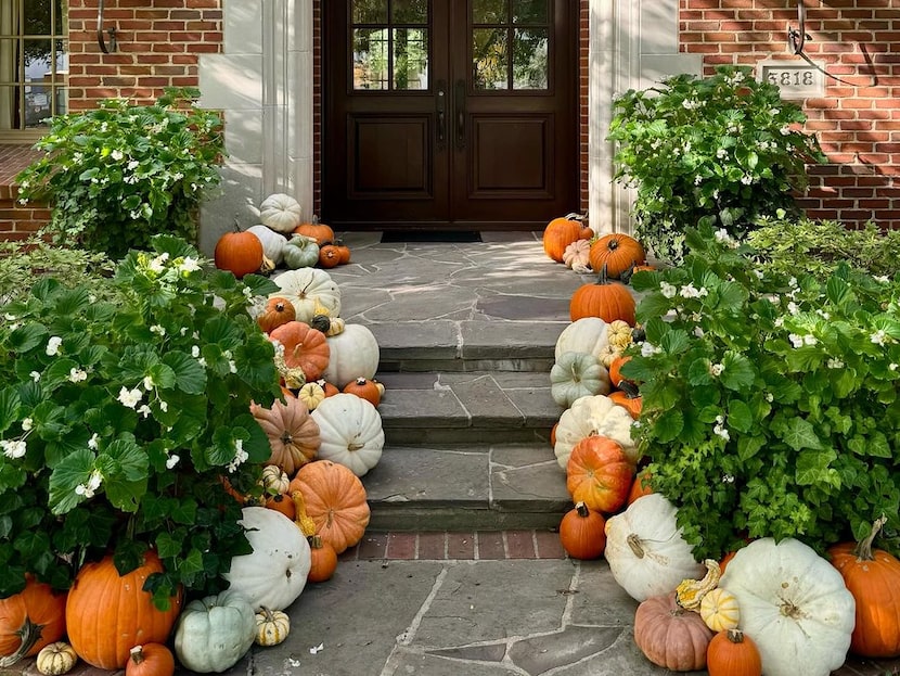 Pumpkins on porch steps