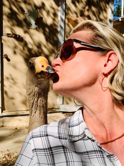 Filmmaker Cheryl Allison with the goose she named "Honk," which became a viral sensation on...