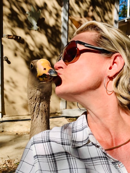 Filmmaker Cheryl Allison with the goose she named "Honk," which became a viral sensation on...