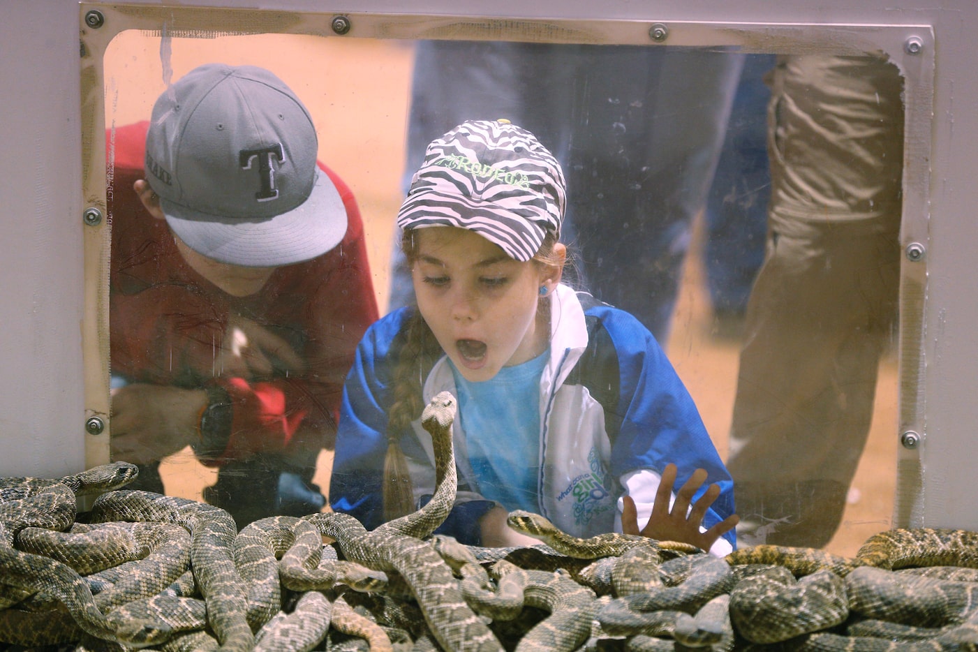 Bramhan Matschek, 12, and his sister Kaydence Matschek, 9, watch a snake watching them at...