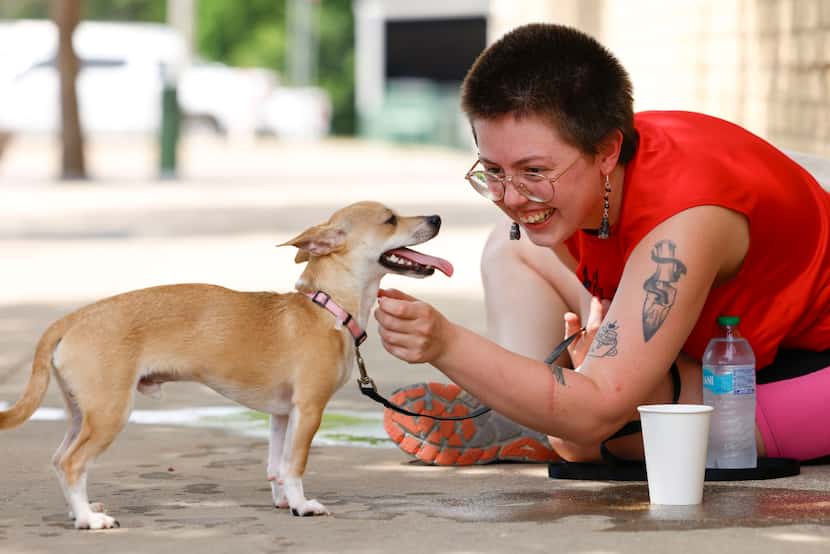 Michael Stark reacts to their dog, Poof, after they cool off by the sidewalk, on Friday,...
