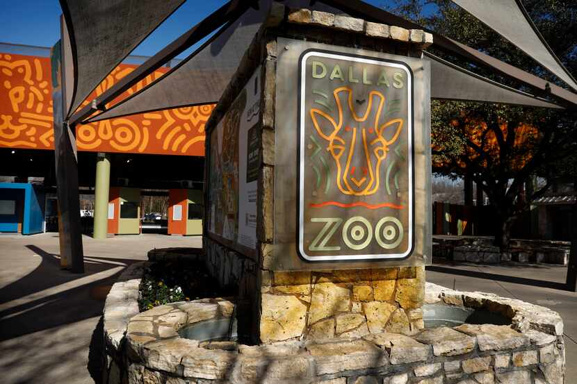 El Dallas Zoo permite ingresar por solo $1 dólar los días 18 de julio y 6 de agosto de 2024.