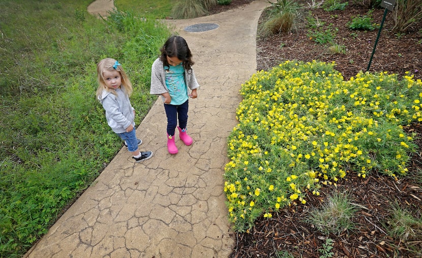 Inez Beltran (right), 3, and Nina Toler-Wells, 2, walk on the trail at Twelve Hills Nature...