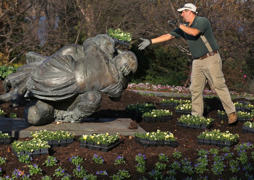 Horticulture supervisor Kevin Thompson helps the Dallas Arboretum and Botanical Garden's...