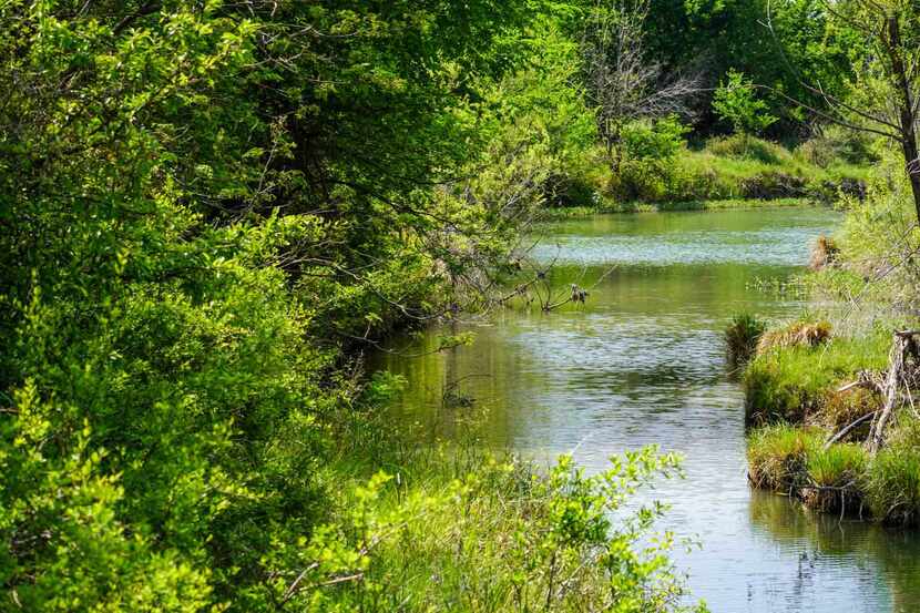 The ranch includes miles of frontage on the Clear Fork of the Brazos River.