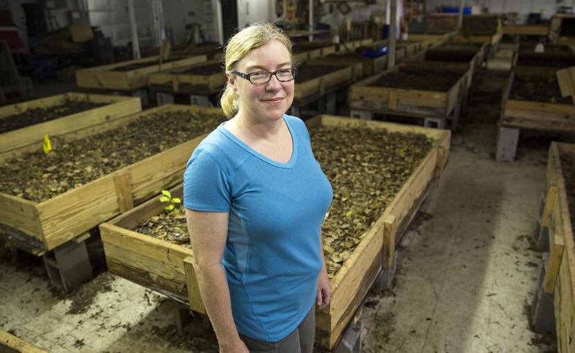 Heather Rinaldi  is owner of Texas Worm Ranch, where nearly 100,000 pounds of compost are...