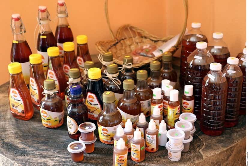 Desde hace más de medio siglo, la miel producida en Campeche es disfrutada en Europa y Medio...