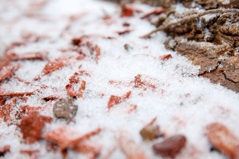 A wintry mix of ice and snow starts to stick to the ground in McKinney, Texas Saturday...