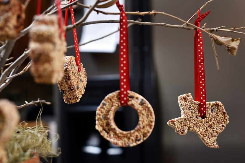 Tina Dempsey's Christmas ornaments of birdseed hang from a plant on display at her home.