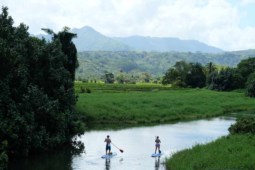 Try renting a paddleboard in Hanalei and enjoy the tranquility of the Hanalei River.