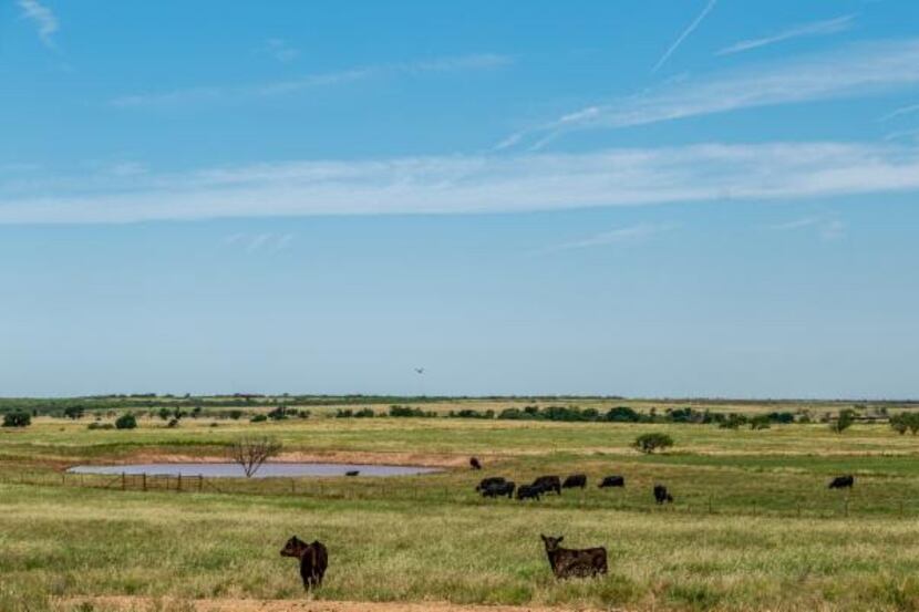 The Flying M Ranch is southeast of Wichita Falls.