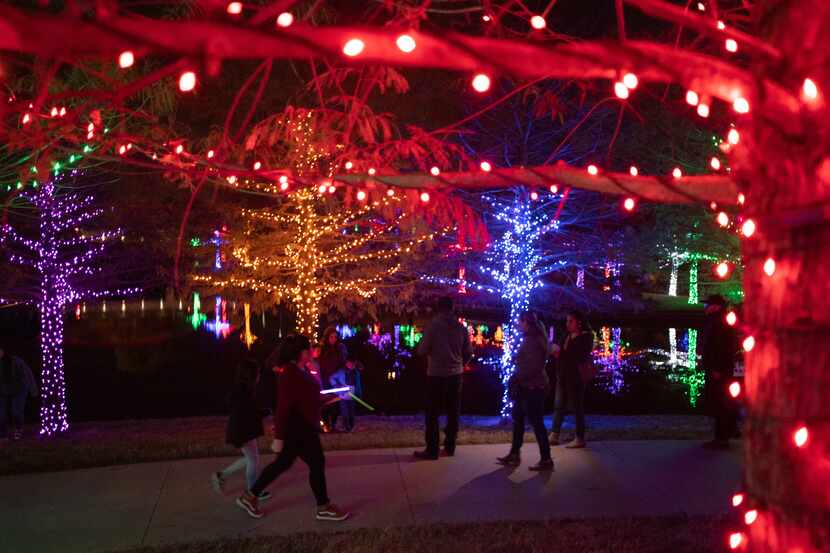Families tour the lights during opening night of the Vitruvian Lights in Addison, on Friday,...