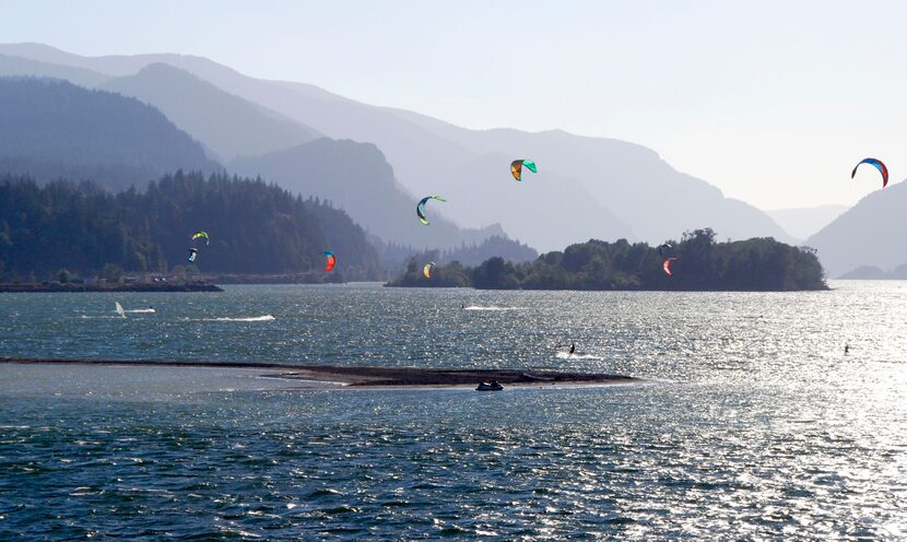 Take a cruise on the Columbia River, and you will be treated to scenic backdrops -- and...