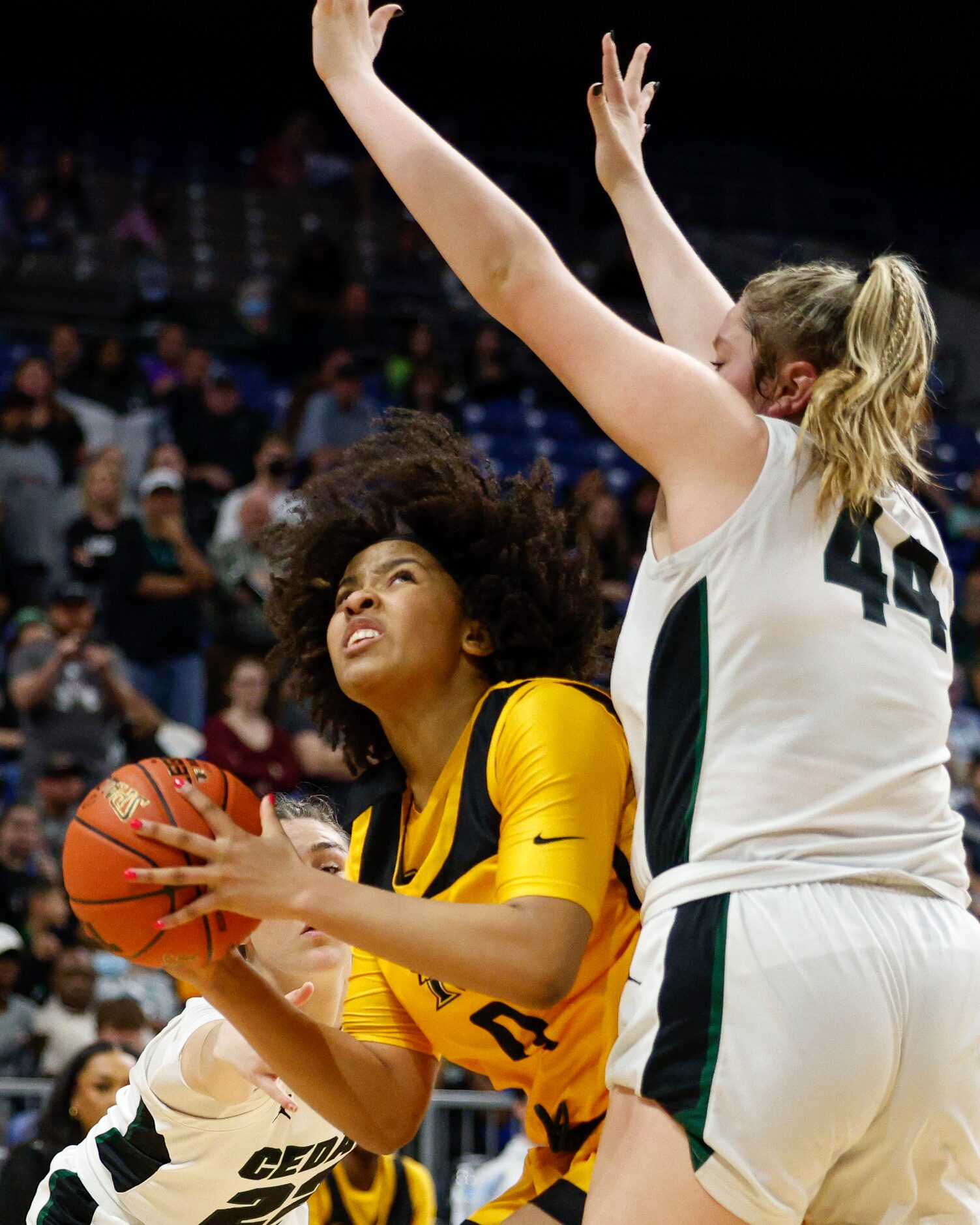 Frisco Memorial guard Brynn Lusby (0) looks to shoot under Cedar Park forward Shelby Hayes...