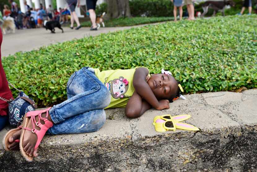 A'Niyah Thompson, 3, takes a nap after the pooch parade during the Easter in Lee Park event,...