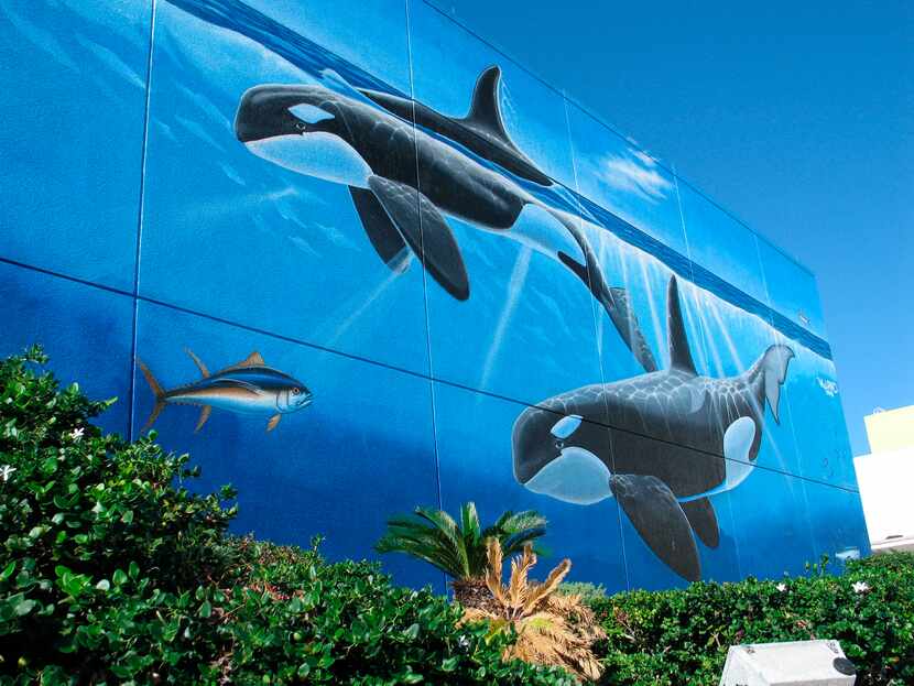 Another "Whaling Wall" at the South Padre Island convention center was created in 1994 by...