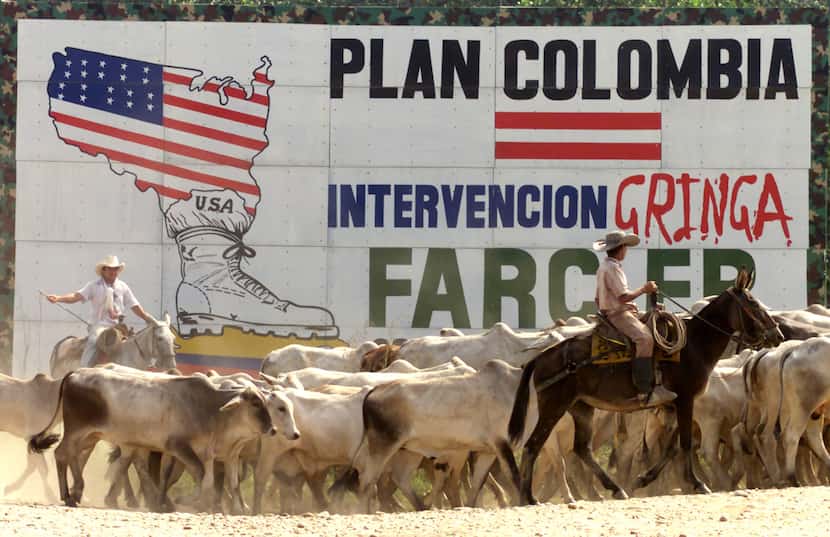 Cows are herded by a sign of the Revolutionary Armed Forces of Colombia (FARC), against U.S....