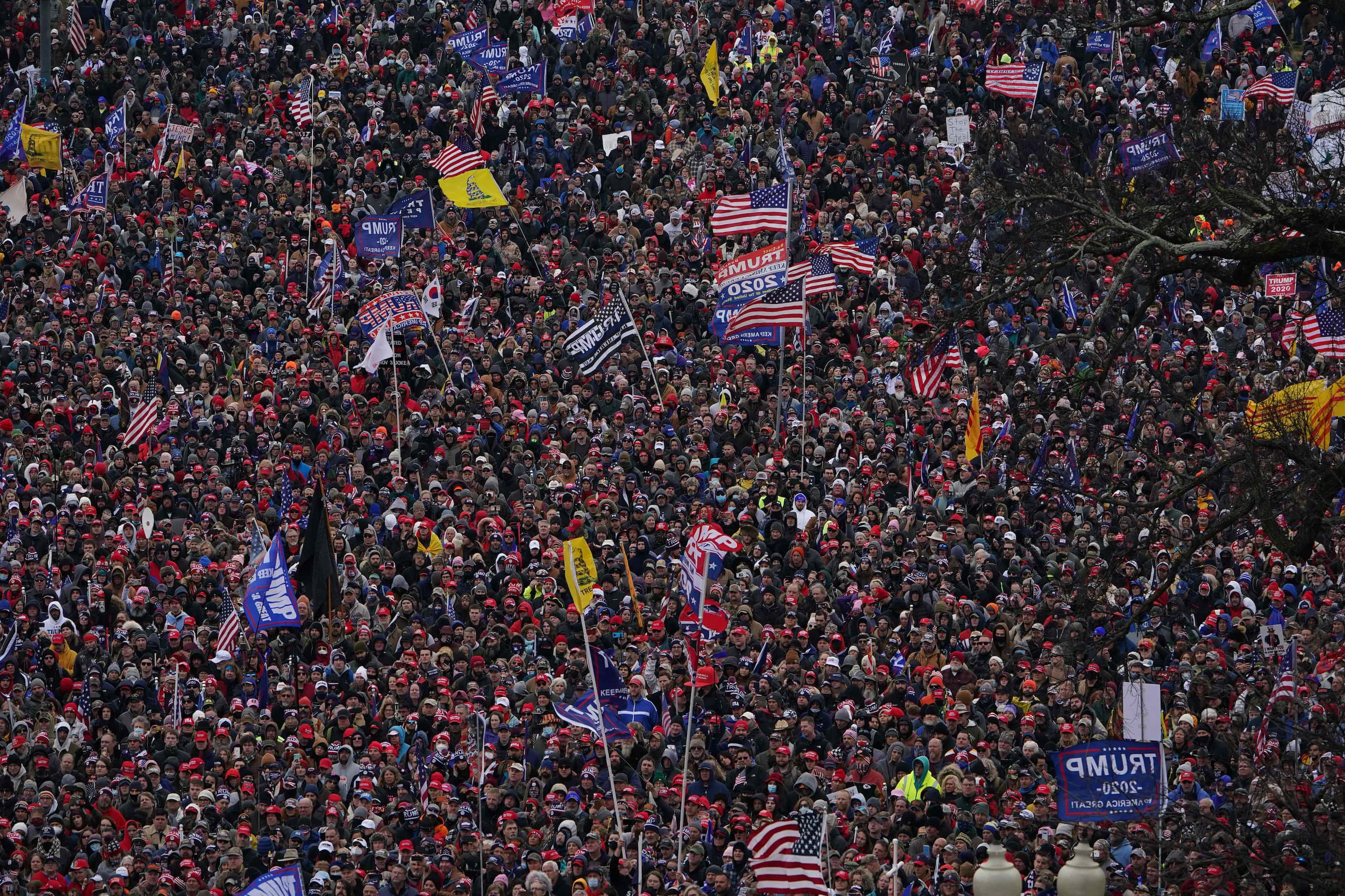 TOPSHOT - Supporters of US President Donald Trump demonstrate on the National Mall on...