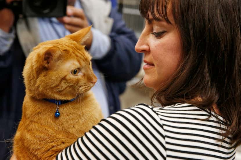 Jackie Ewer from Lakewood, Colorado is reunited with her cat, Harvey, at Dallas Animal...