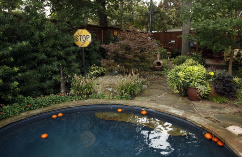 Backyard of Suzy and Rob Renz's home in Dallas on Friday, October 11, 2013. T