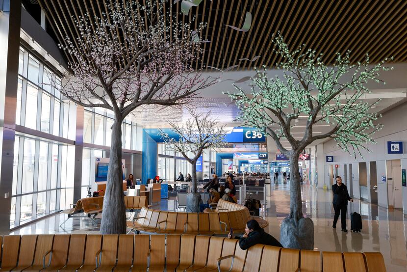 Artificial trees with lights are seen inside Terminal C, Tuesday, Oct. 31, 2023, at DFW...