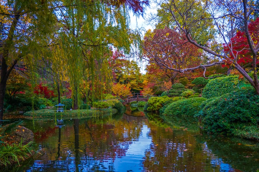 Fort Worth's Japanese Garden, a longtime urban escape, is the most peaceful spot in Texas...