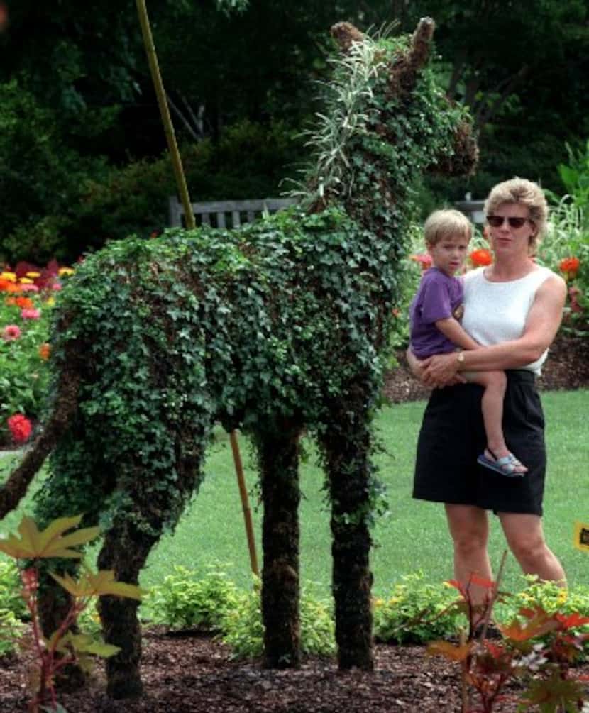 Three-year-old Alex Gorischek and his  mother, Susan, look at a zebra topiary at the Dallas...