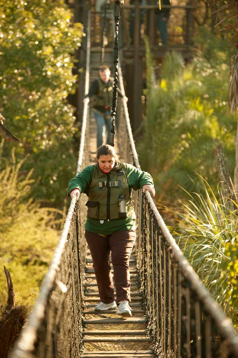 Guests can cross a rope bridge hovering over crocodiles during the three-hour Wild Africa...