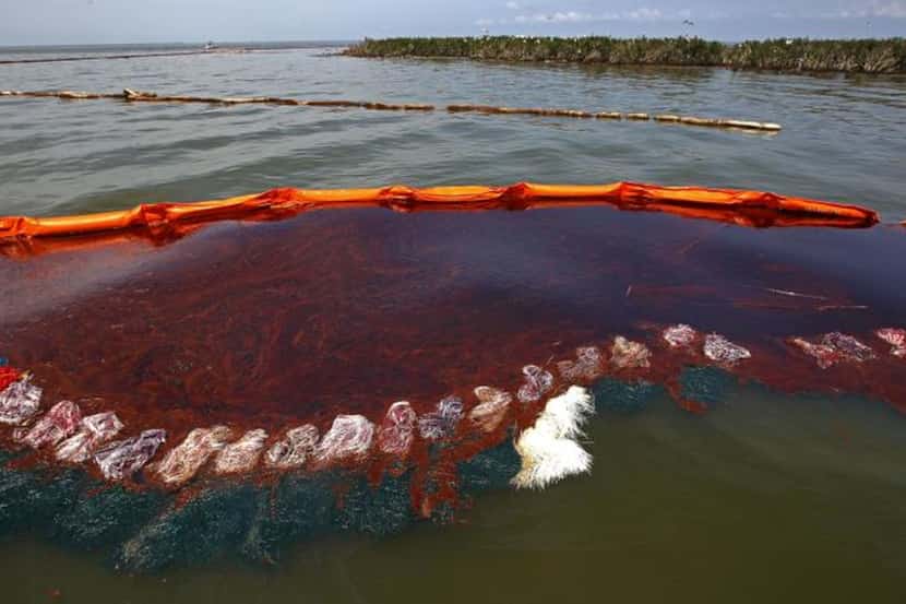 
Heavy oil pooled along a boom near Cat Island in Barataria Bay near Grand Isle, La., after...
