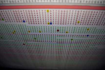 A sample of a person's genome data shown on a computer screen where it is analyzed after...