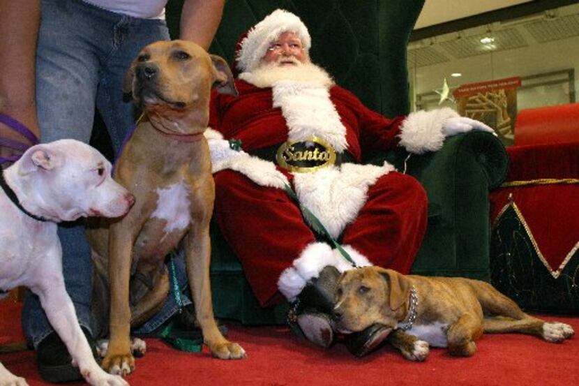 SANTA will be at Operation Kindness Pet Food Pantry the next two weekends. (File Photo/Staff)