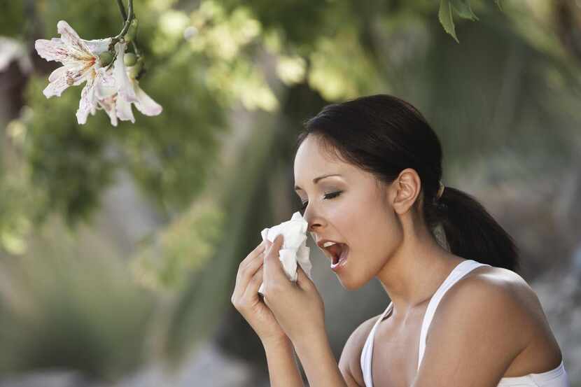 Para las personas que sufren alergias la llegada de la primavera está acompañada por...