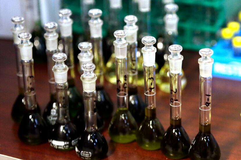 FILE - In this April 12, 2014, file photo, vials containing extracted medical marijuana are...