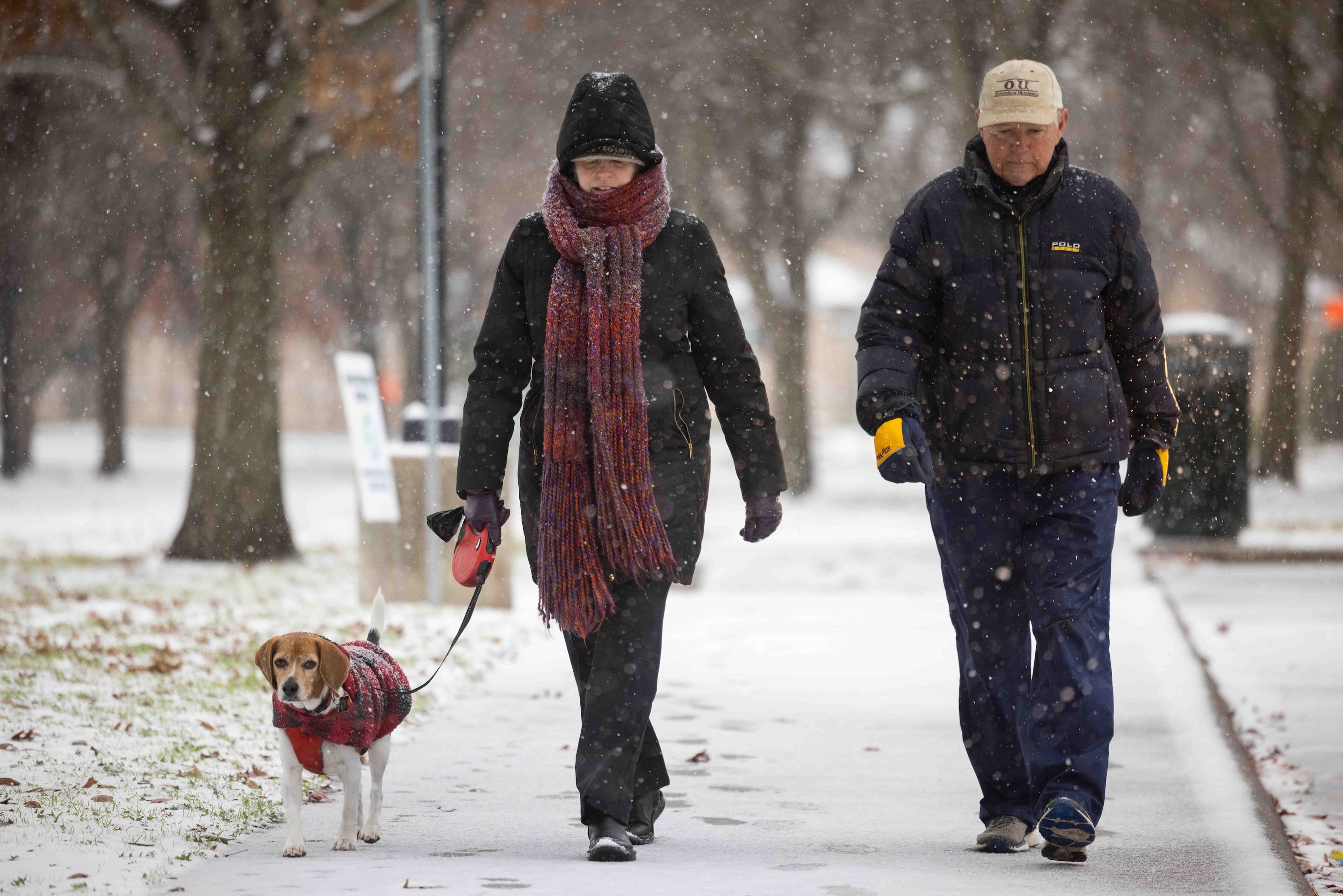 Holly Nichols and George Richardson walk dog Honey at Frankford Park in Dallas as snow falls...