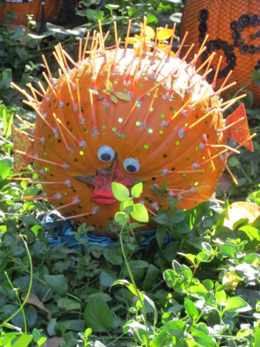 Come see painted pumpkins, such as this puffer fish, at the Fort Worth Zoo's Halloween...