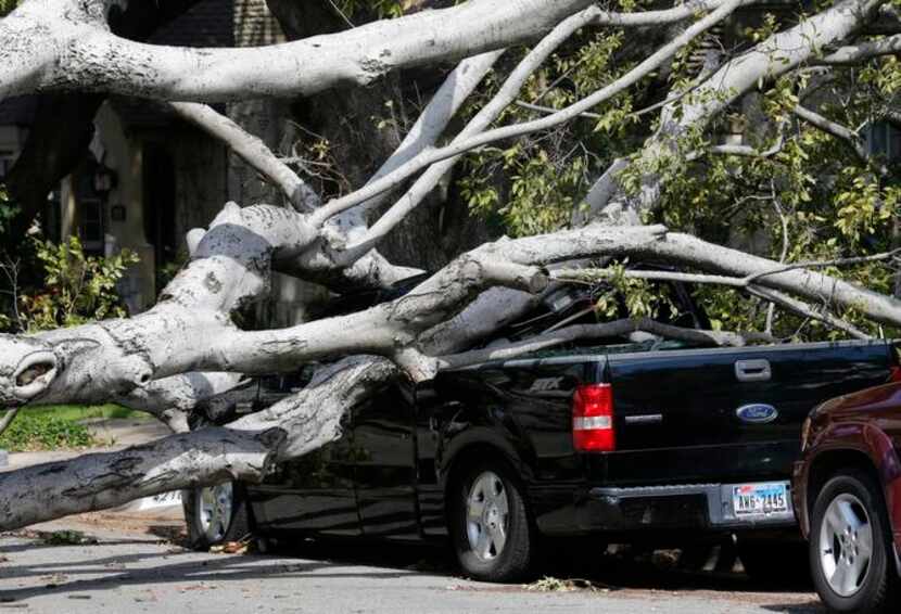 
Chad Roberts’ truck was crushed Thursday by a massive tree, which is still blocking his...