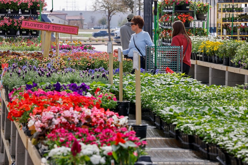 Shoppers browse the flowers and plants at Green Acres Nursery & Supply at 2800 Ranch Trail...