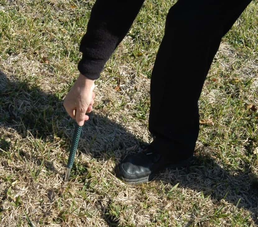 A golf club can used as a soil probe.