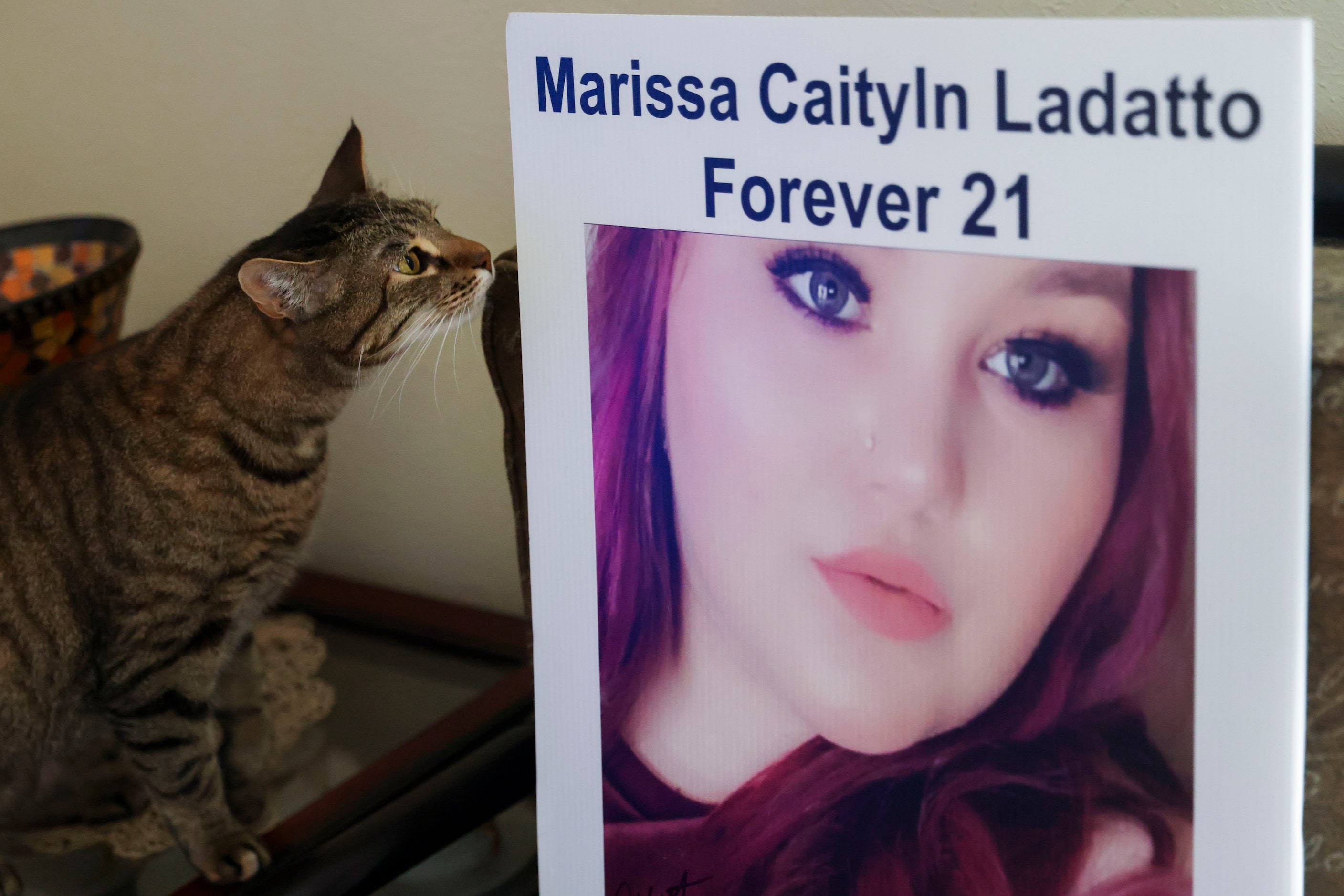 Lilith, Ladatto's pet cat, looks over a photo of the 21-year-old. At the time of her death,...